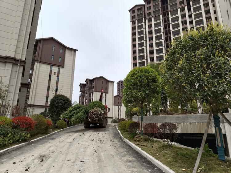 云雾山水实景图 