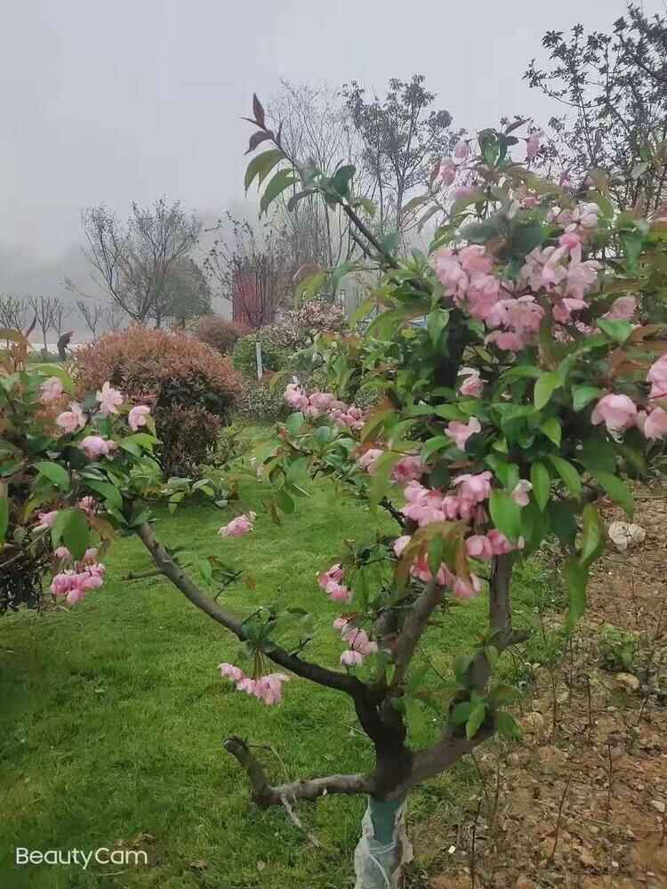 悦禧龙城 