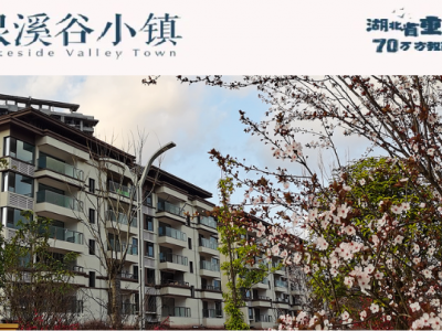 利川银溪谷小镇在生长|归心生活的每一段都是风景