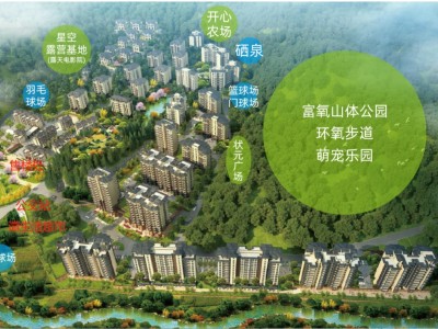 利川龙船溪谷引入了大健康康养中心，真正做到了避暑+康养多方位