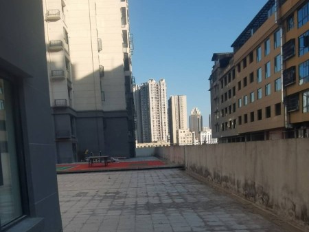 利天下还建房带露台精装
